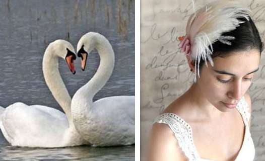 An Elegant Swan Wedding Theme