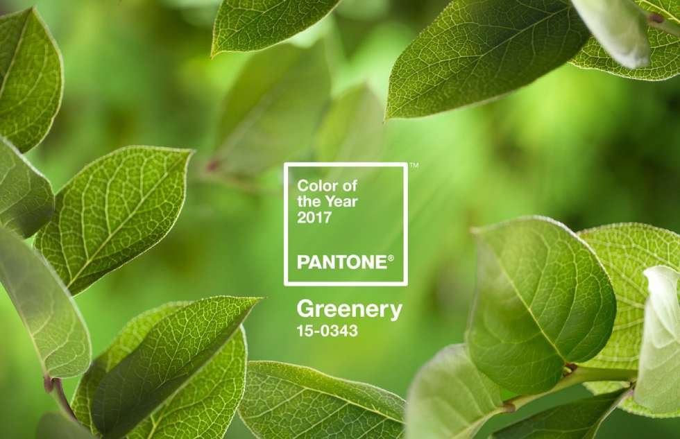 Your Wedding in Pantone's Color of 2017: Greenery