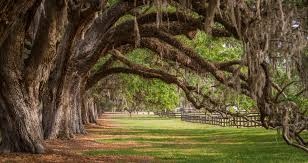 boone_hall_plantation_south_carolina_us_-_the_notebook