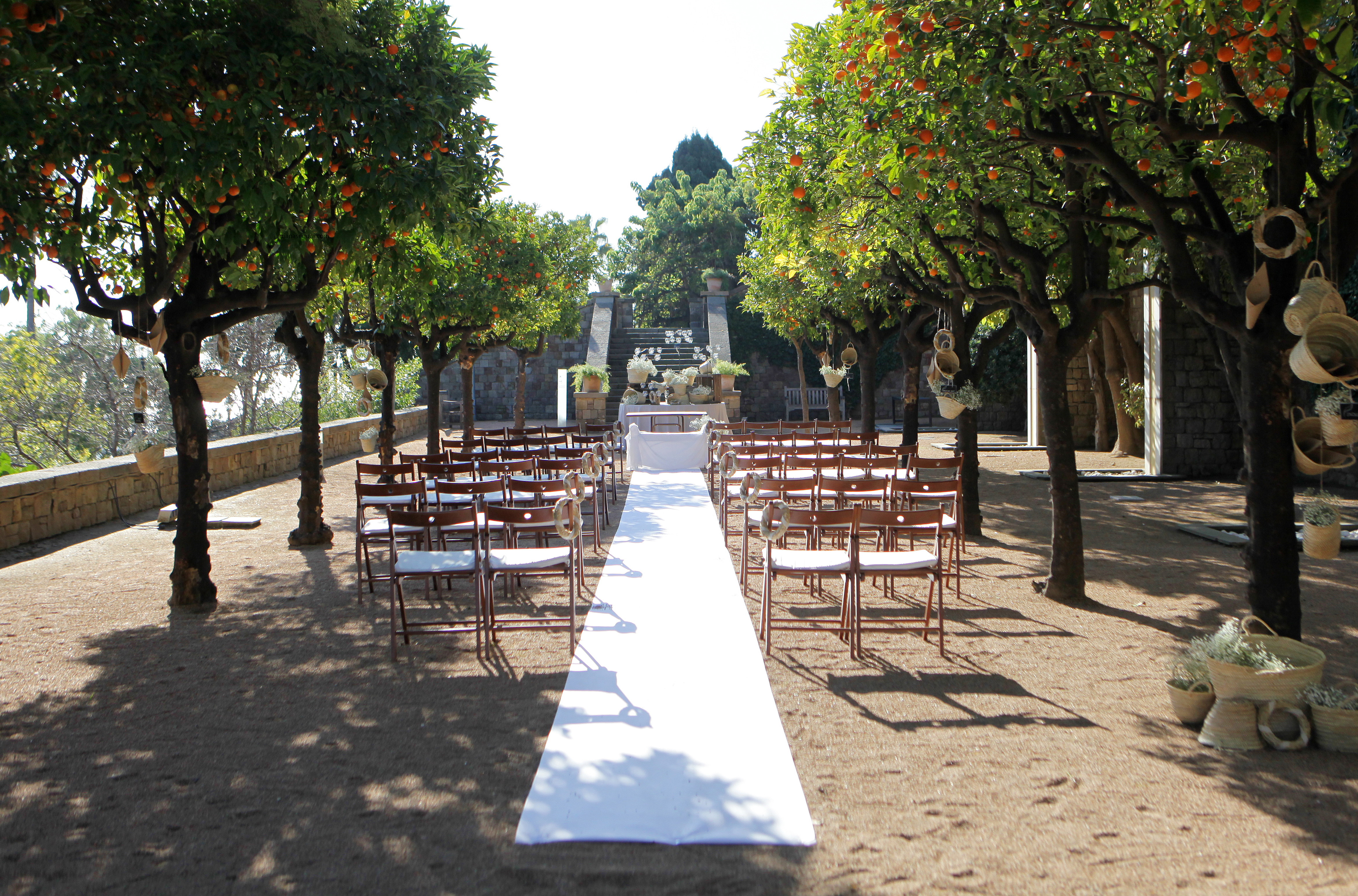 Orange Tree Ceremony at Miramar